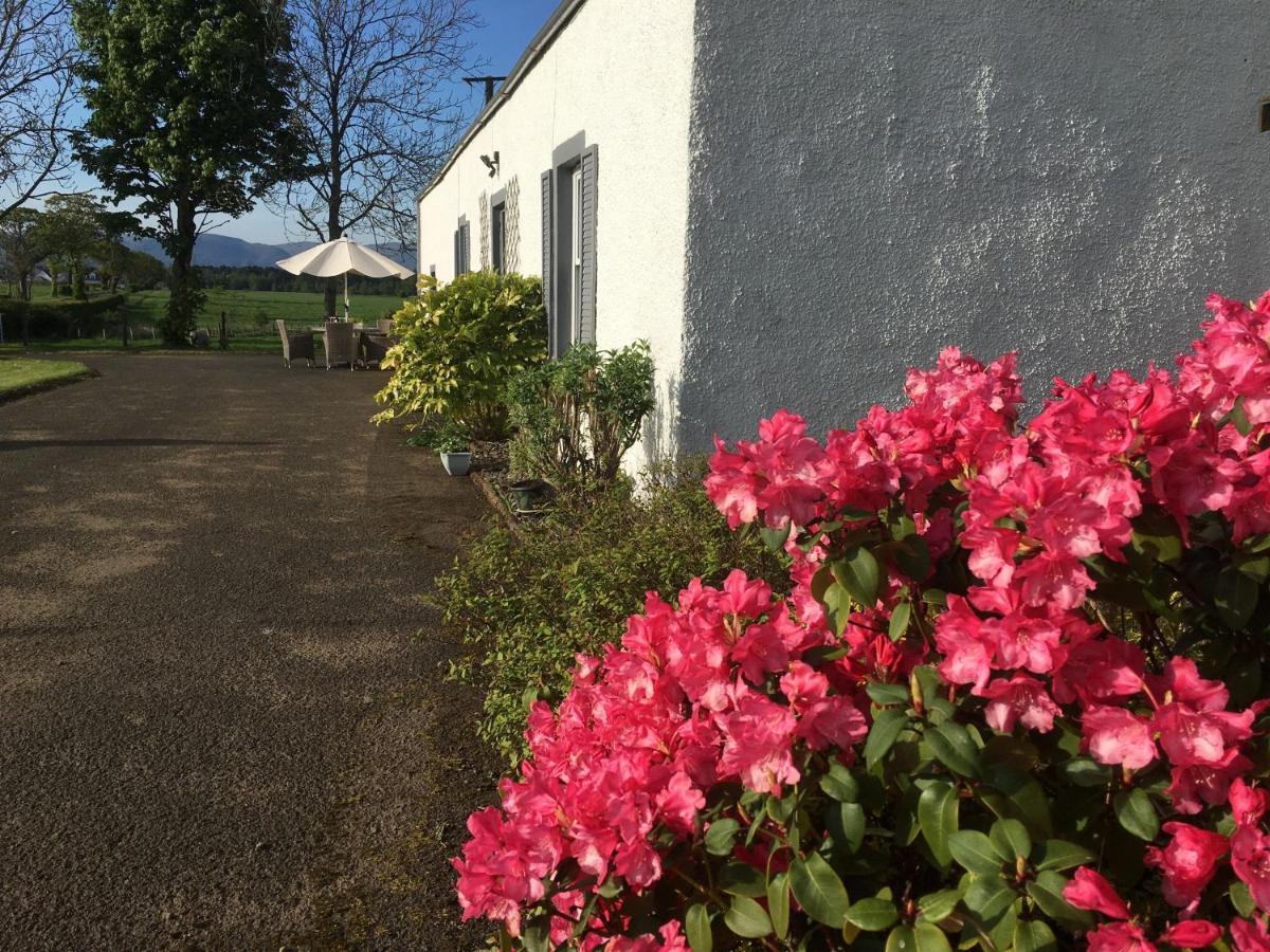 South Doll Farm Cottage Airth Buitenkant foto